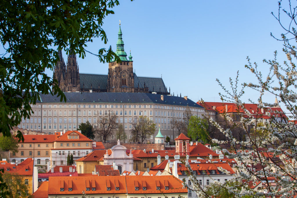 Prague Castle in the spring